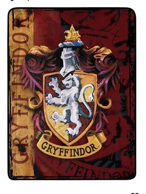 Northwest Harry Potter Micro Raschel Throw Blanket, 46" x 60", Battle Flag